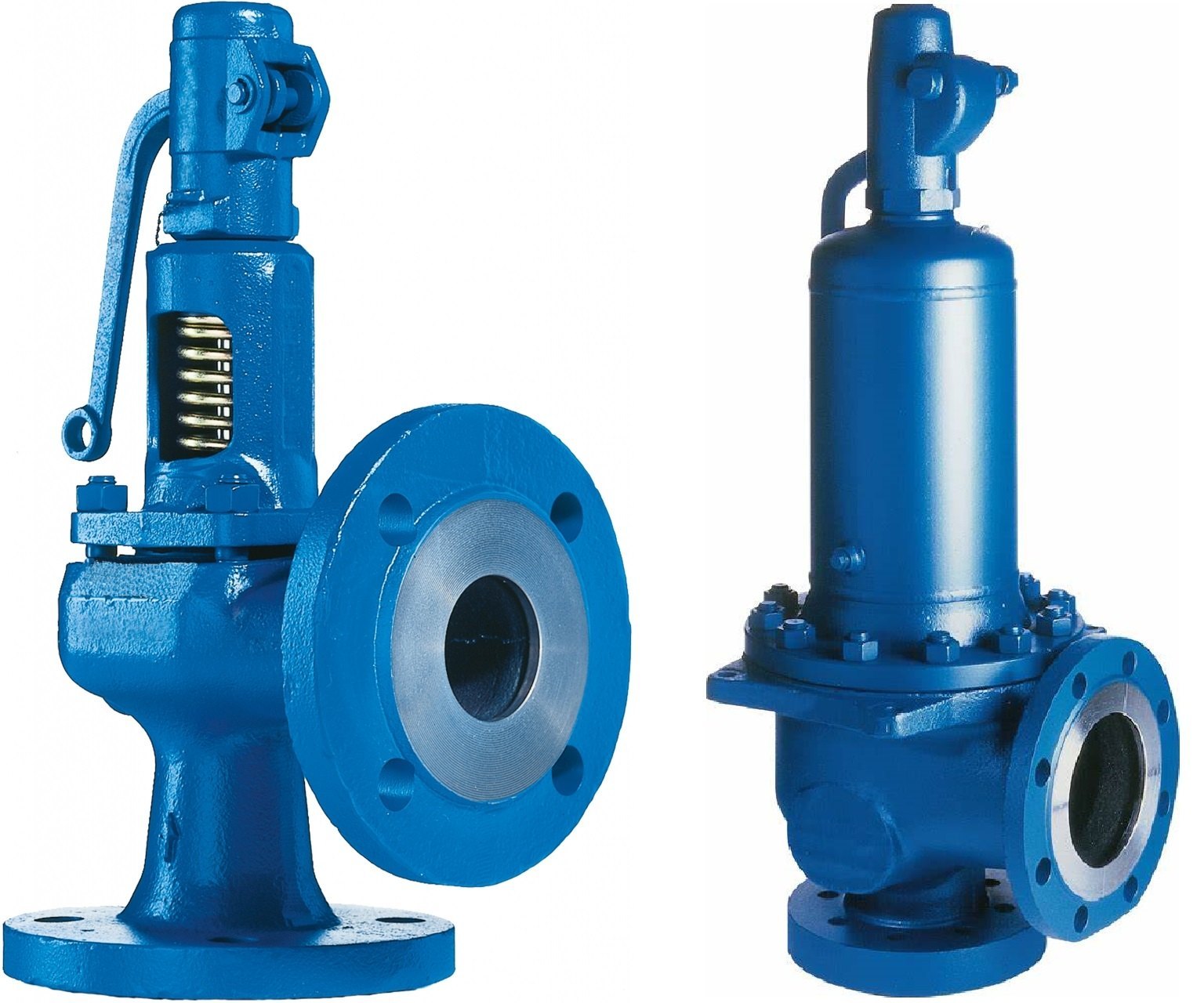 Safety Relief Valve